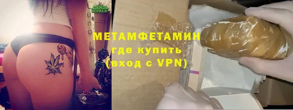 прущие грибы Белокуриха